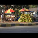 und nebenan Kokosnüsse